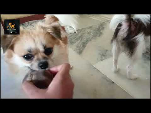 All the people together hit Raju a lot, and no one even allowed him to play the ball.⚽