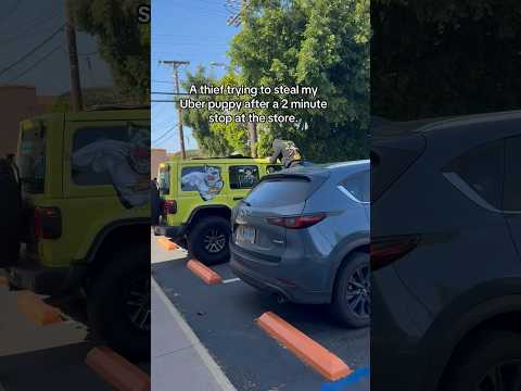 Caught This Guy Trying To Get Into My Car To Steal A Dog