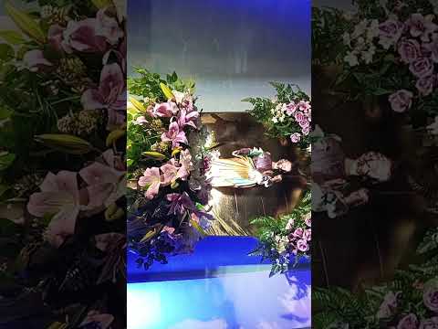 7° Noite do festejo em honra a são José - Belém do Piauí