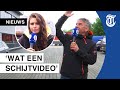 Meeuwen schijten ondernemers onder