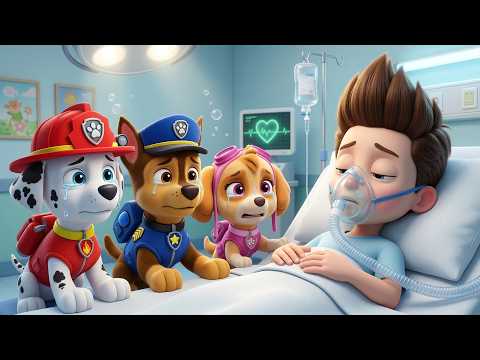¡Ryder, despierta rápido! ¡No me dejes solo! | PAw PaTrol en Español | Rainbow 3