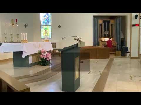 Thirteenth Sunday (C) 26.6.2022