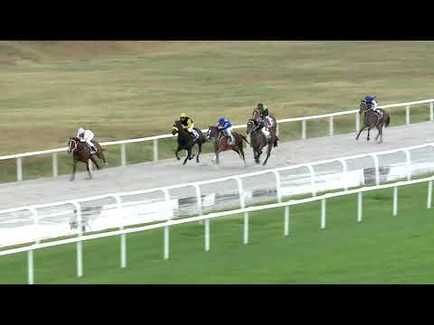 2019.07.28. 02. futam - VÁROSBÍRÓ DÍJ (I.kat.) (szintetikus pálya)