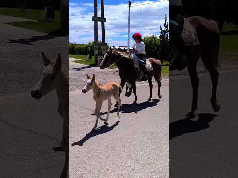 Puerto Santa Cruz Patagonia Argentina 🇦🇷 #videodronesanjulian