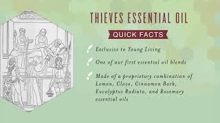 All About Thieves Essential Oil