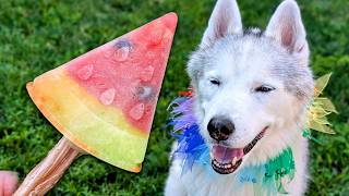 Watermelon Popsicle for Dogs 🍉 DIY Watermelon Dog Treat!