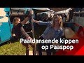 Paaldansende kippen op Paaspop
