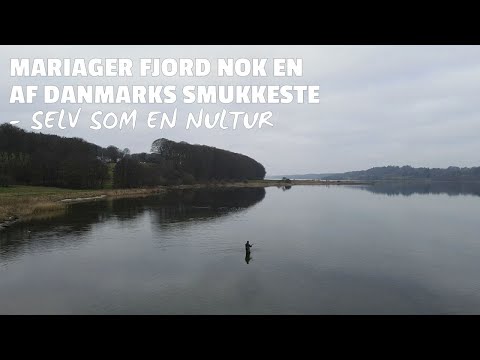 Mariager fjord nok en af Danmarks smukkeste - selv som en nultur