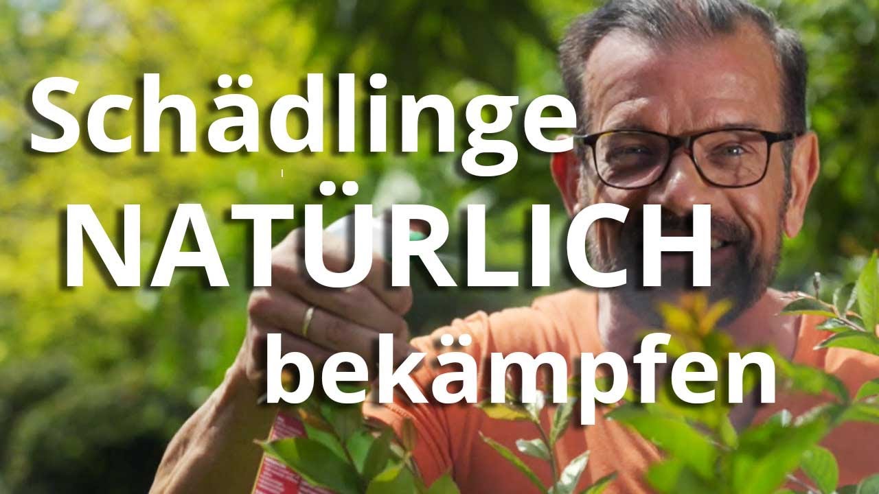 youtube video id=ju2w30VxATQ