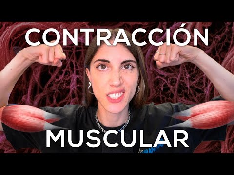 Así funcionan tus MÚSCULOS al hacer EJERCICIO