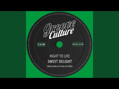 Sweet Delight (Micky More & Andy Tee Extended Mix)