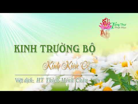 11. Kinh Kiên Cố (Kevaddha sutta)