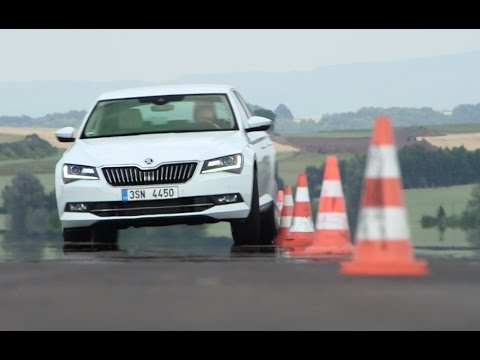 Skoda Superb 2.0 TSI: So viel Platz! - Die Tester | auto motor und sport