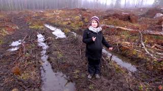 Mer om kvicksilver (fördjupning till filmen Spårlös)