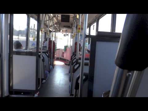 Sydney Buses 1537 - Volvo B12BLE Euro 3 (ZF/Custom Coaches CB60) - Route T80 Outbound