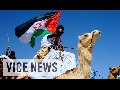 Front for the Liberation of the Sahrawi People (Polisario Front) video 1