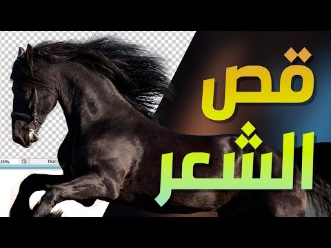 فوتوشوب | 01 الواجهة الأدوات الفراشي النصوص