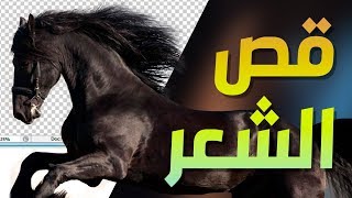 فوتوشوب متقدم 09 أشهر ثلاث تقنيات لقص الشعر على الفوتوشوب