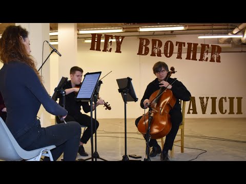 Avicii – Hey Brother