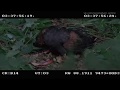 Wrong Turn 3 Deleted Scenes RUSSAB