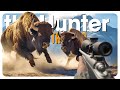 Hunting EVERY CLASS With A HEART SHOT TheHunter Call Of The Wild