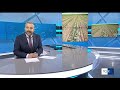 titolo video