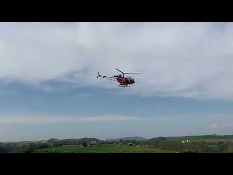 Vario Big Lama 1:4 Electric - Benedini Sound Module