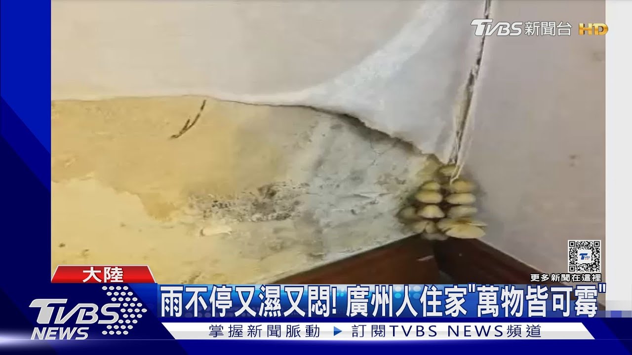 口紅眼影都發霉了！屋裡長菇　廣州連續59天只7天無雨