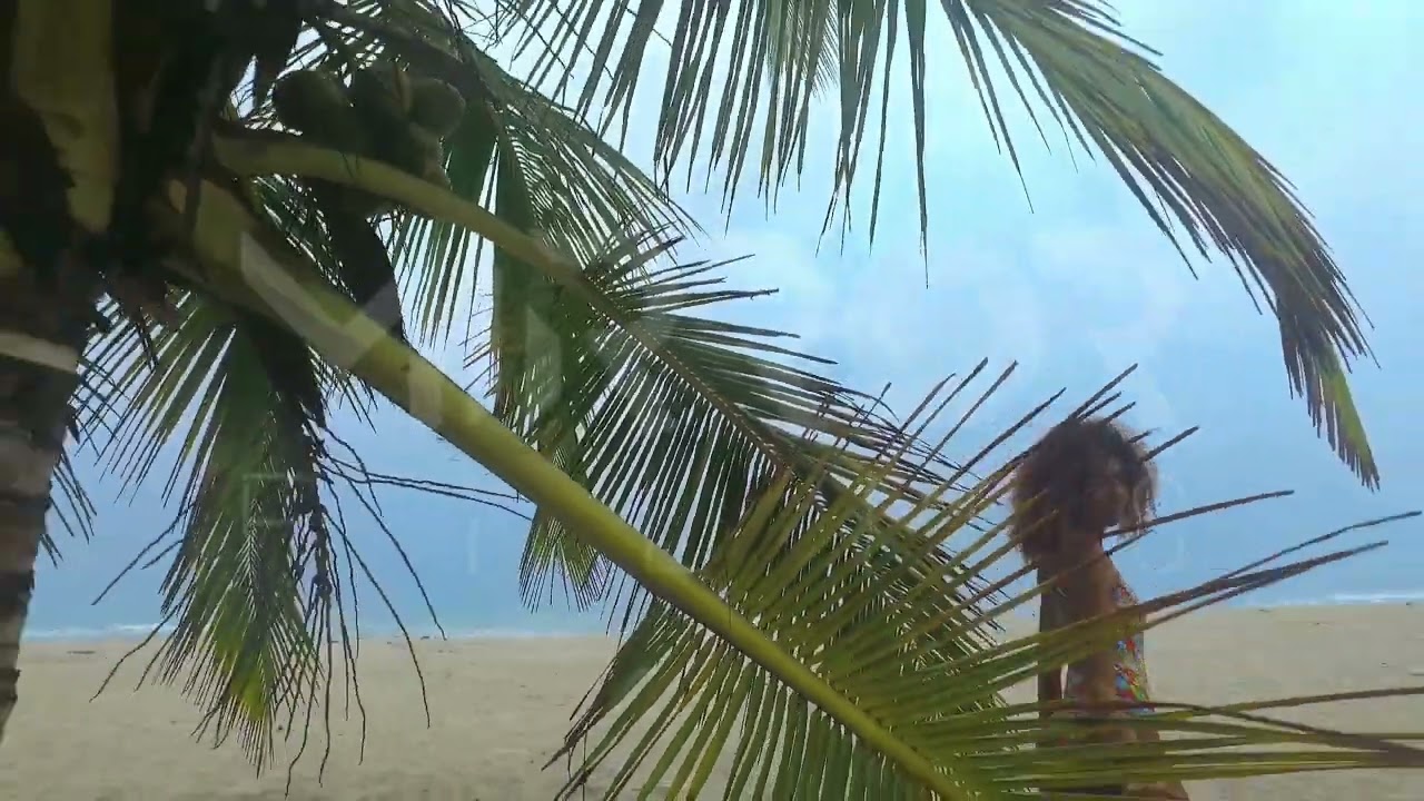 Mujer y palmera en la playa