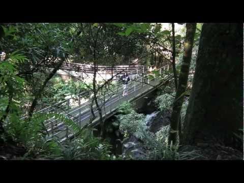 S.E.B ft NIGUS Dévalorisé