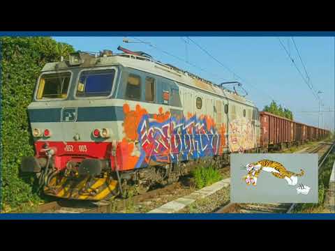 |E652.003| Arrivo e partenza della tigre, dallo scalo di Pomezia con il "Pomezia-Cavatigozzi"