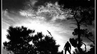 Αντωνης Ρεμος-Εγω γεννηθηκα αετος