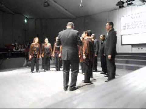 Video Flash Seghizzi 2011 - Camerata Lacunensis