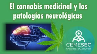 EL CANNABIS MEDICINAL Y LAS PATOLOGIAS NEUROLOGICAS