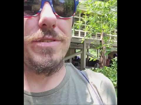 Video review of Whizzer by JiggidyNDG