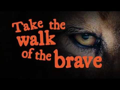 Take the walk of the brave with Lions 360 at Monarto Zoo!