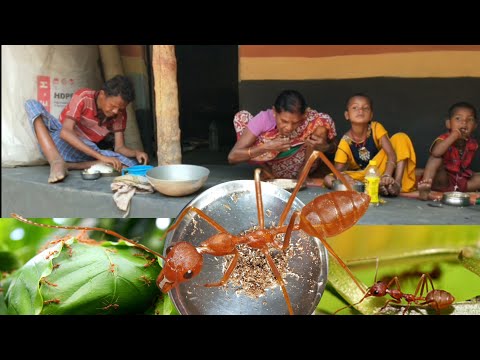 , title : 'Red Ant (Kurkut) With Rice Flour/Old Traditional Style Recipe By Village Tribe People.'