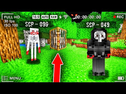 SCP 096's & SCP 049's TRAPPED ME in Minecraft!