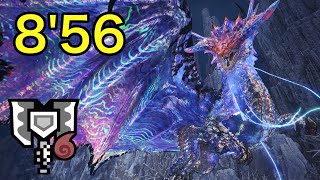 Re: [MHWI] 冥波王 簡易心得