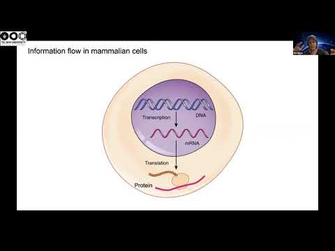 nano_structu...