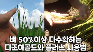 벼 50프로이상 다수확하는 다조아골드와 플러스 사용법(자연과콩 연락처:031-968-0840)