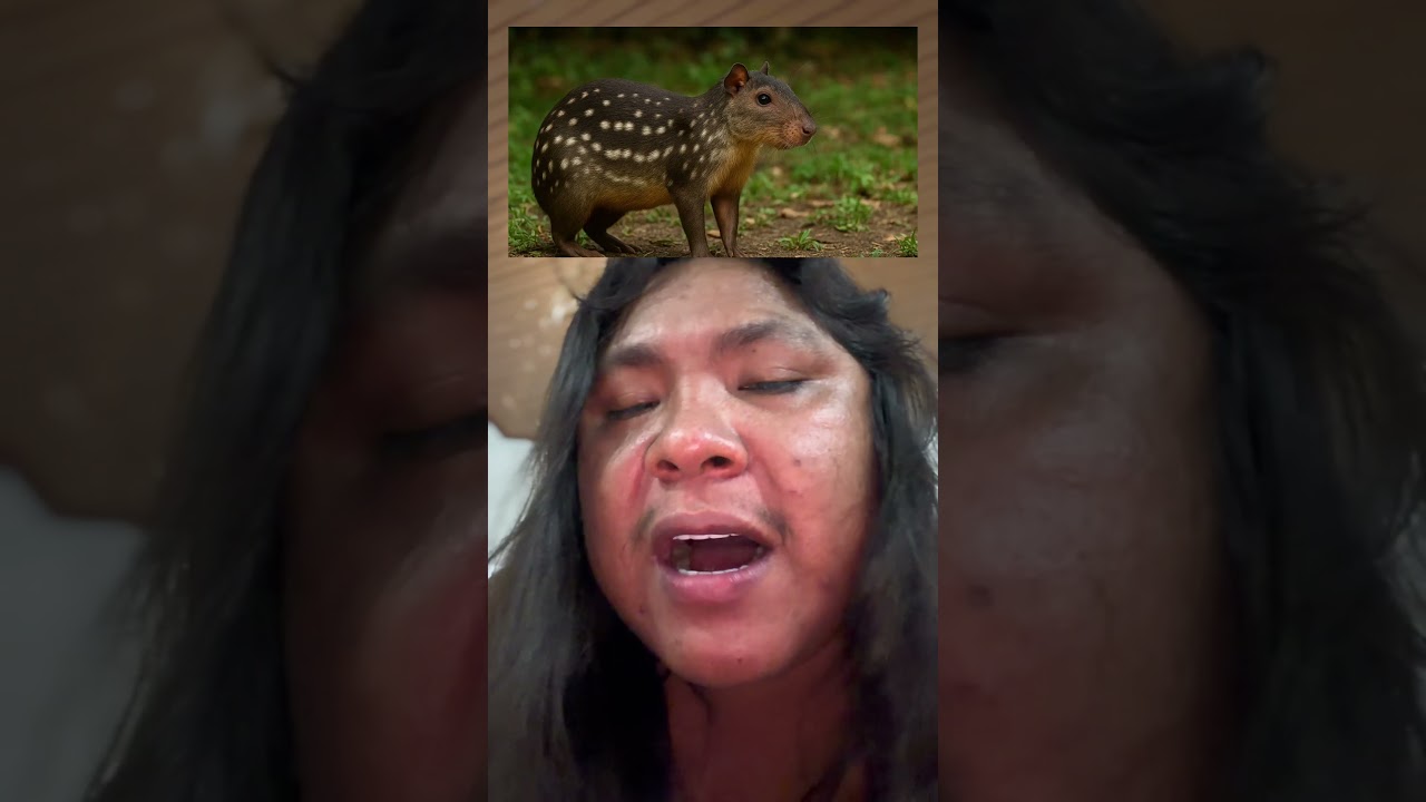 Look at this, guys! 😱😱😱