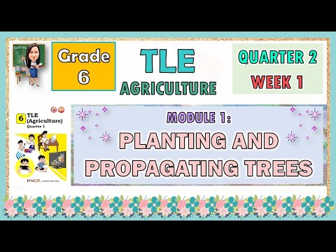 TLE 6 | AGRICULTURE  MODULE 1 QUARTER 2 WEEK 1 |  PLANTING AND PROPAGATING TREES