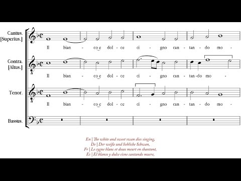 Arcadelt | Il bianco e dolce cigno [á 4; The Hilliard Ensemble]