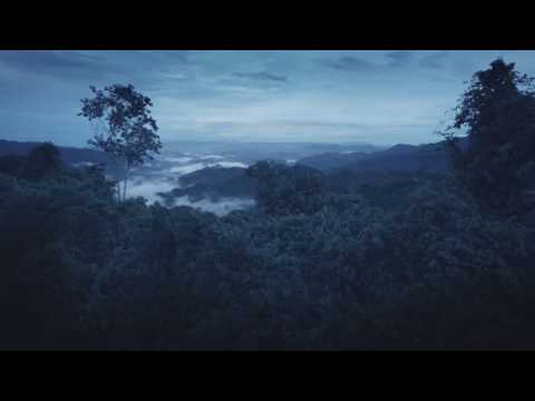 CHANEL Blue Serum Longevity Ingredients From The World's Blue Zone