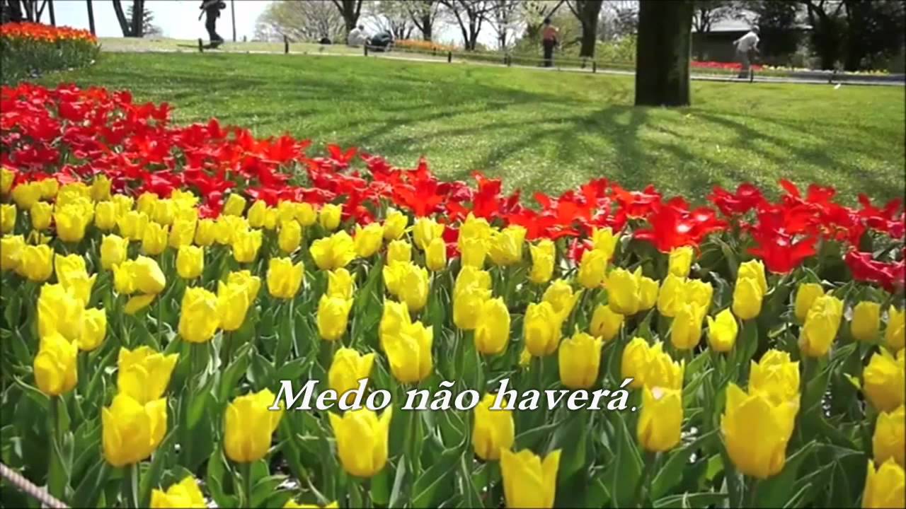 Testemunhas de Jeová -Vida Eterna Enfim