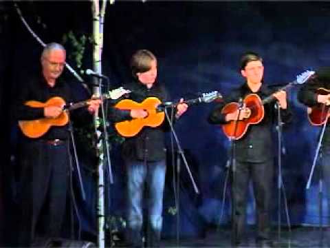 SVI PLJEVALJSKI TAMBURASI