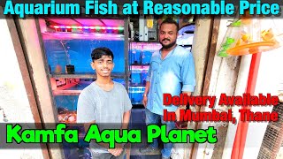 Fish Stock at Kamfa Aqua Planet I Delivery Available in Mumbai & Thane