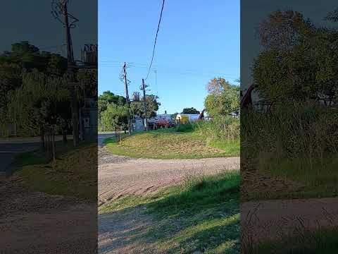 Camino Real. Colonia Avellaneda. Paraná Campaña. Entre Ríos 4