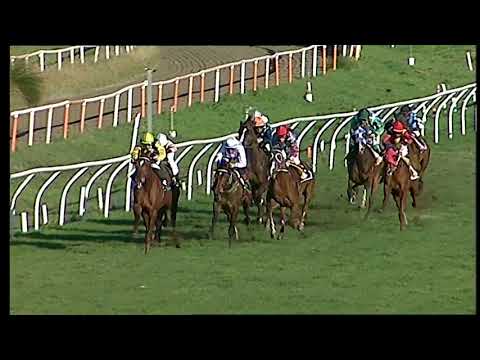 Galoppo 18/01/2021 - 4ª corsa